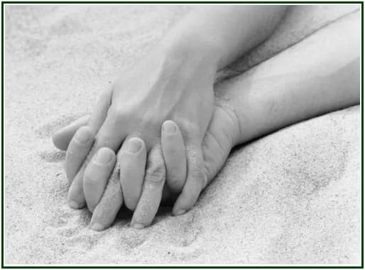Love Without Violence