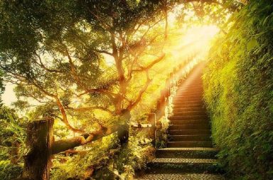 Stone staircase ascending through a sunlit forest, symbolizing the practical path of virtue in Stoic philosophy and Musonius Rufus' teachings.
