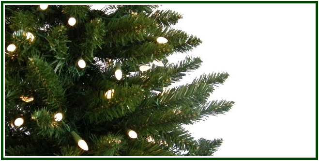 Detalhe aproximado dos ramos verdes de uma árvore de Natal decorada com luzes brilhantes, usada para exemplificar a simbologia tradicional.