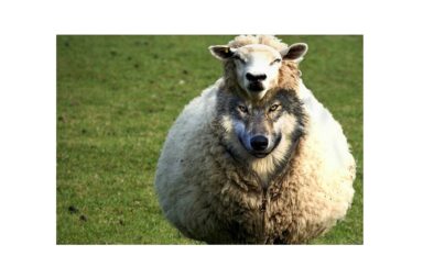 A conceptual digital artwork of a wolf wearing a sheep's wool coat with a zipper, standing in a green field, symbolizing deception and forgery.