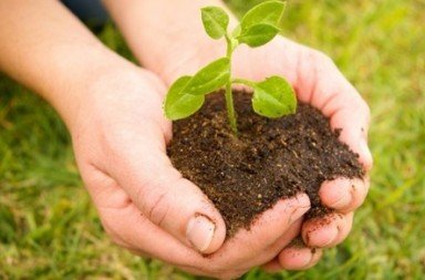 Duas mãos humanas segurando um punhado de terra escura com uma pequena planta verde a brotar, sobre um fundo de relva, simbolizando que os ganhos da caminhada não são monetários.