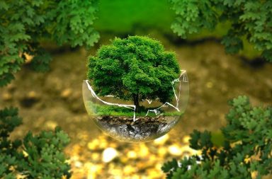 Ilustração conceitual sobre a filosofia da natureza mostrando uma árvore verdejante que cresce com as suas raízes fixas na terra, protegida no interior de uma redoma de vidro transparente flutuante, emoldurada por ramos e folhas desfocadas em segundo plano.