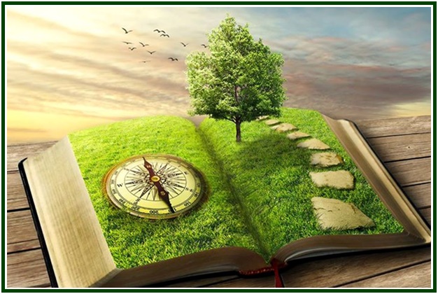 Ilustração surrealista de um grande livro aberto com um gramado verde nas páginas, uma bússola dourada à esquerda, uma árvore ao centro e um caminho de pedras à direita, simbolizando a pedagogia teosófica.