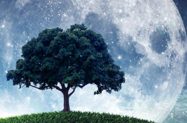 Árvore sobre um monte relvado com uma grande lua cheia e céu estrelado ao fundo, ilustrando a vida como um laboratório.