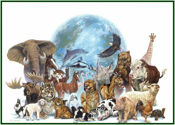 por-que-os-animais-sofrem-pergunta-com-mold