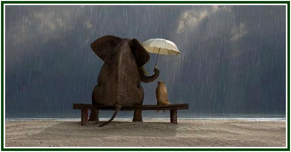 Envy and Friendship