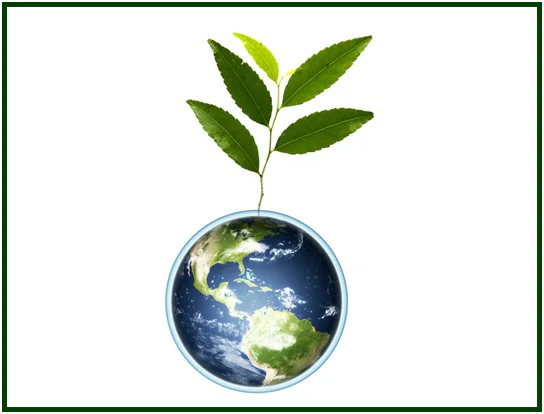 El Árbol de la Fraternidad Universal
