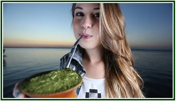 O Chimarrão e a Sabedoria Pagã