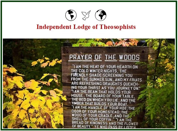 The Prayer of the Woods