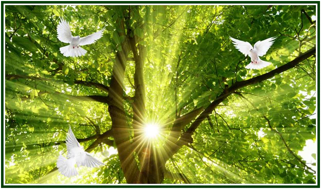 Poema: Solatium