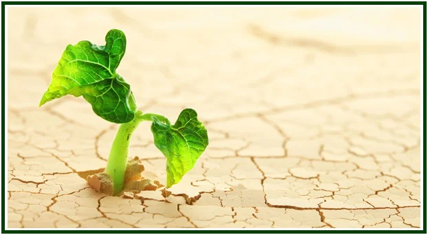 Immortality – a poem