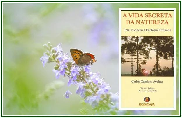 A Ciência Exata Descobre a Ecologia Profunda