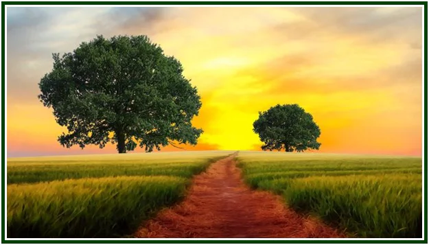 Thoughts Along the Road – 21