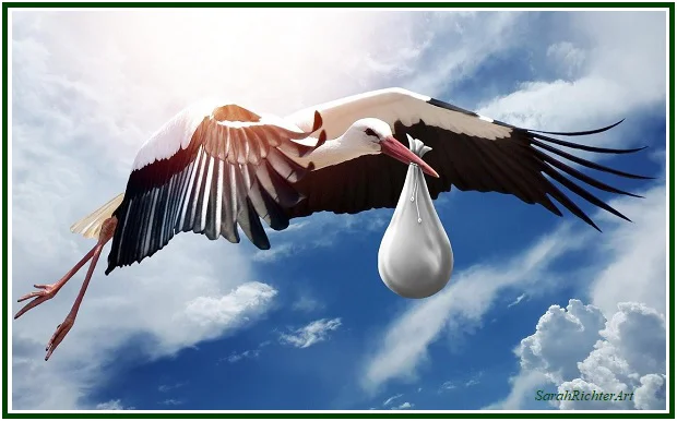 Storks, the Phoenix, and Rebirth