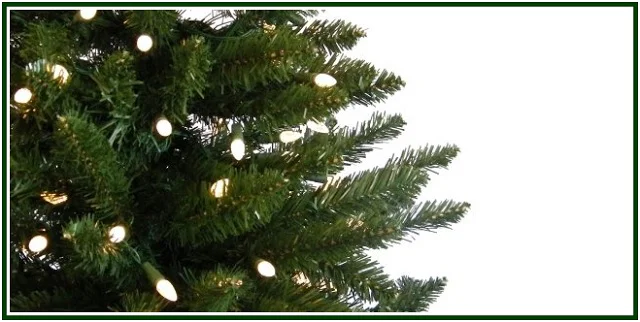El Origen del Árbol de Navidad