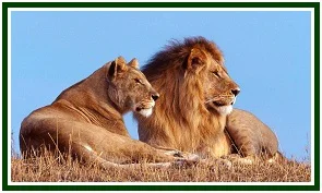 Loyalty and Courage Lead to Victory
