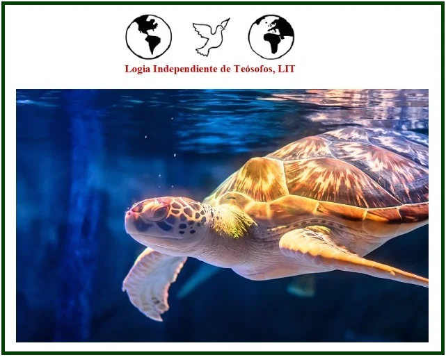 Ideas a lo Largo del Camino – 46