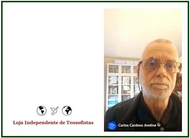 Sete Vídeos Curtos com Carlos Cardoso Aveline
